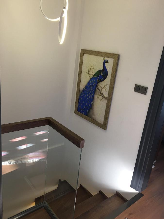 Villa Yilmaz Dream Holiday Kusadası Exteriér fotografie